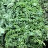 nature power boost