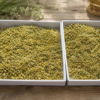 chamomile