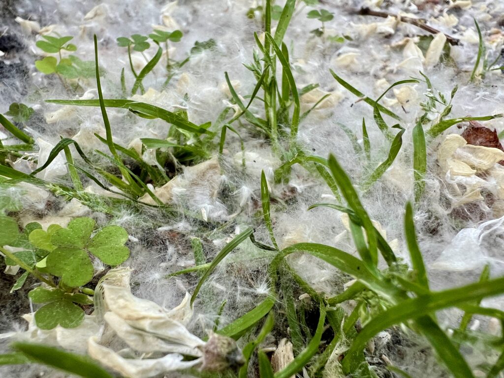nature power boost