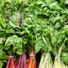 veggies nature power boost