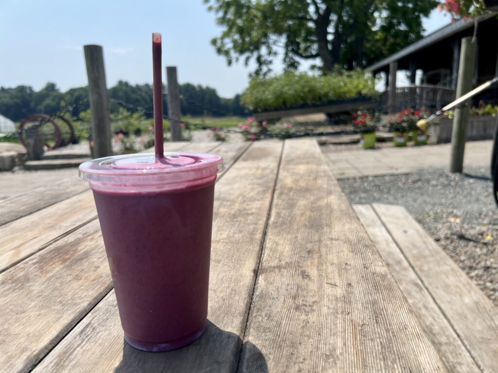 smoothies recipes for nature power boost