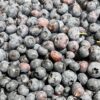 blueberry nature power boost
